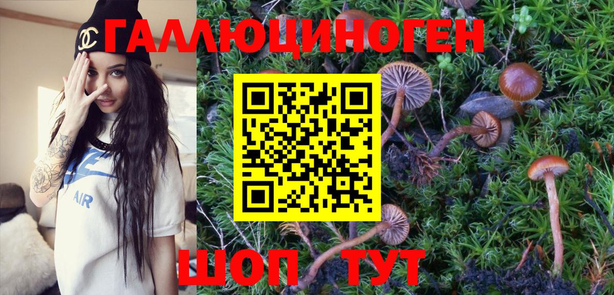 Магадан  Галлюциногенные грибы MAGIC MUSHROOMS  Вход с VPN 